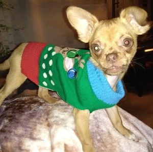 Meet your Posher, Patricia